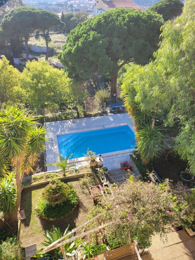 Apt 65 M2 Dans Villa Avec Piscine Banyuls Sur Mer Dış mekan fotoğraf